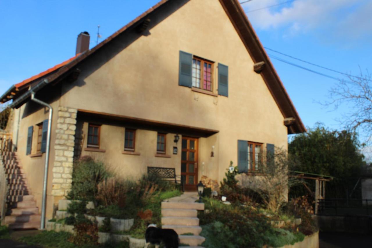 Gites Riviere Et Colline Niedermodern Exterior photo
